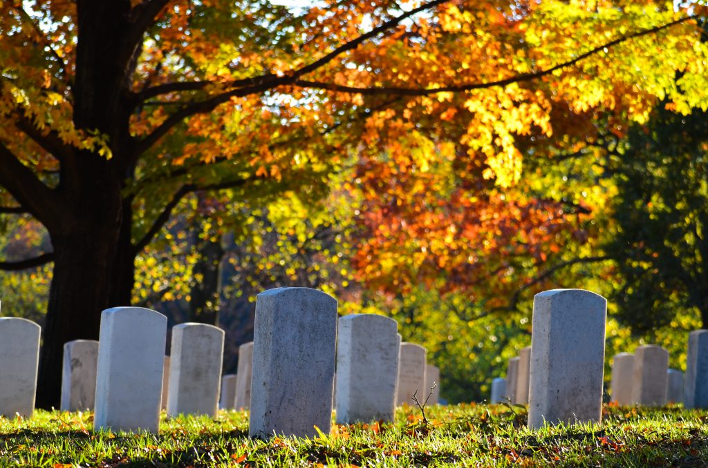 headstones under tree in fall